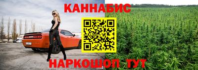 гидра Старая Купавна