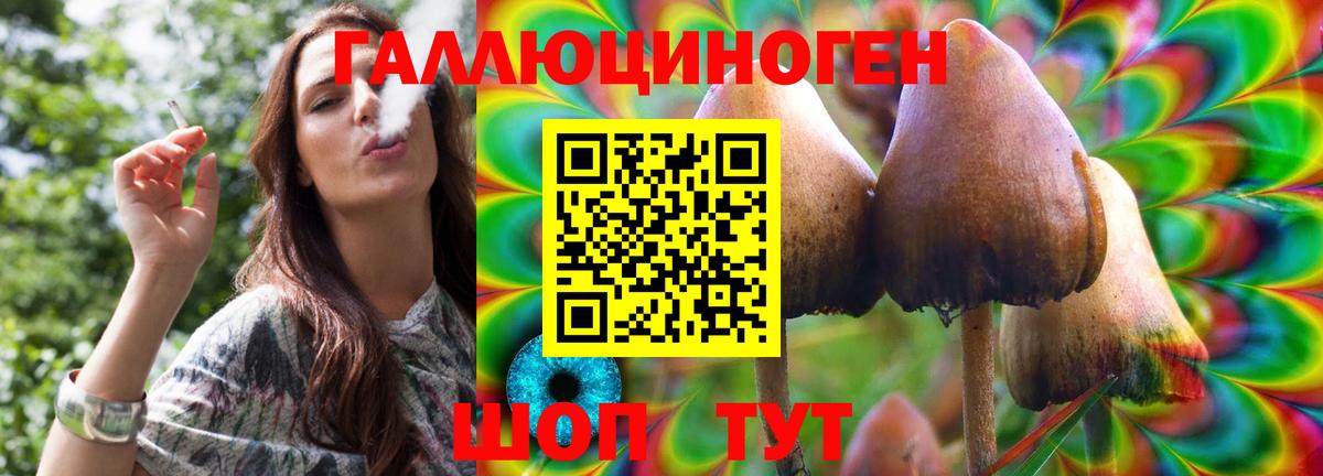 Галлюциногенные грибы MAGIC MUSHROOMS  Галлюциногенные грибы Cubensis  Белореченск  закладка  Вход с VPN 
